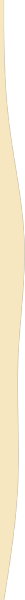 https://lapizzapop.com.br/wp-content/uploads/2023/10/black-detail-left-premium.png